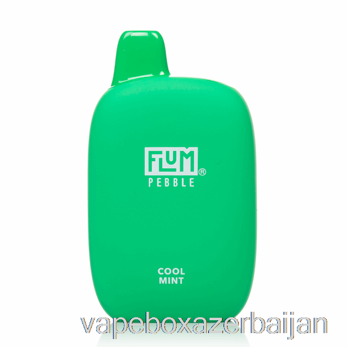 E-Juice Vape Flum Pebble 6000 Disposable Cool Mint